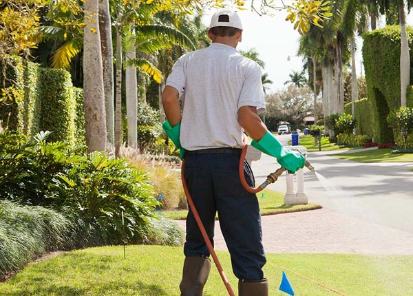 About Grovetown GA Pest Control Pros